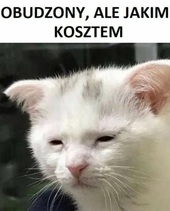 obudzony ale jakim kosztem
