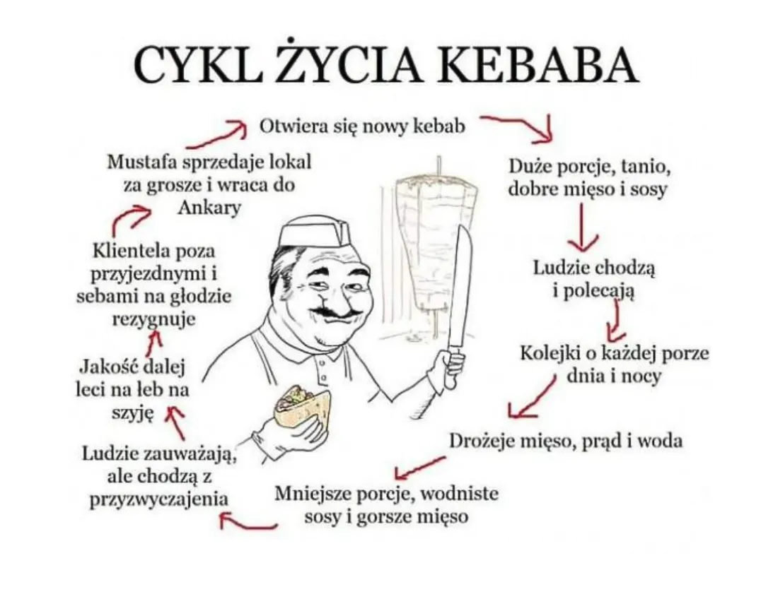 cykl życia kebaba