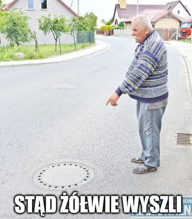Stąd żółwie wyszli