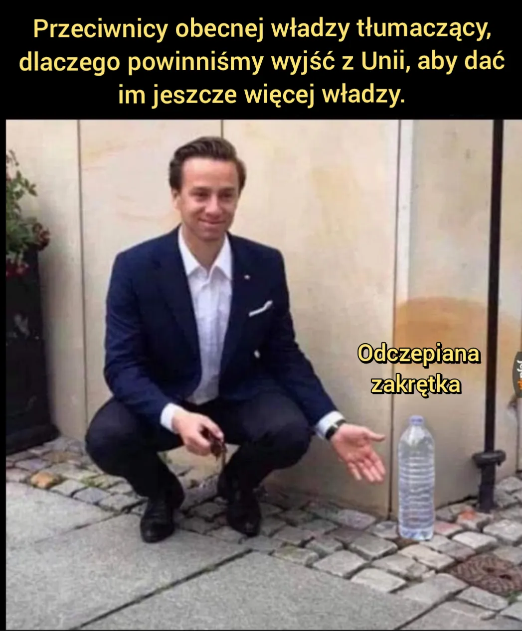 Chyba warto