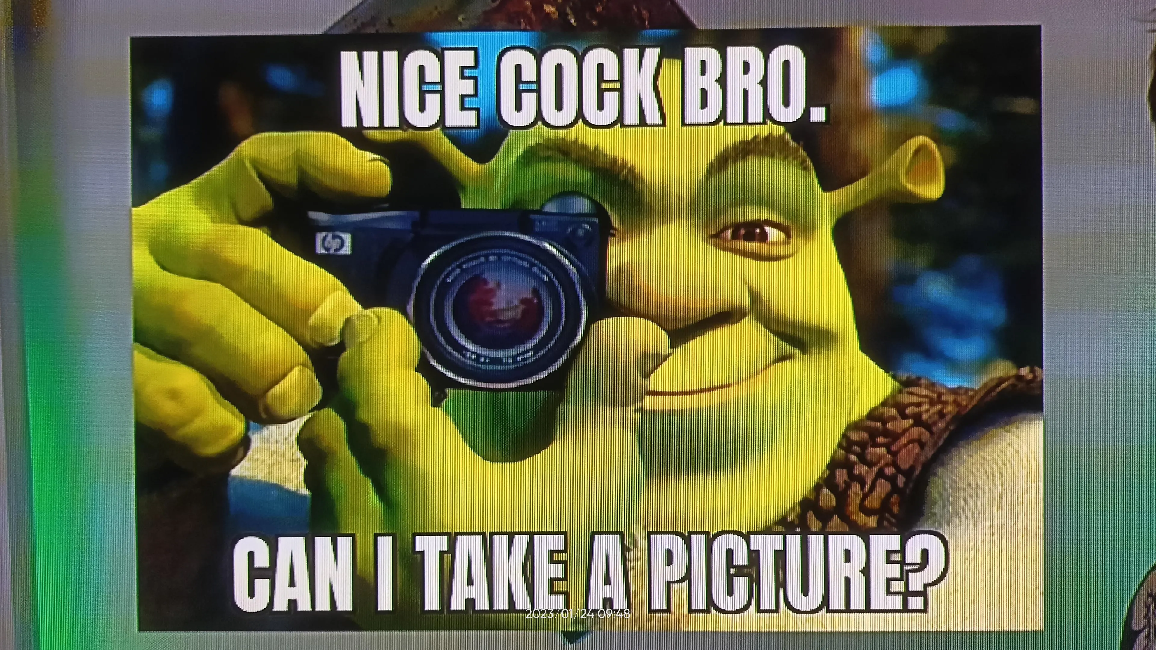 Gut Shrek