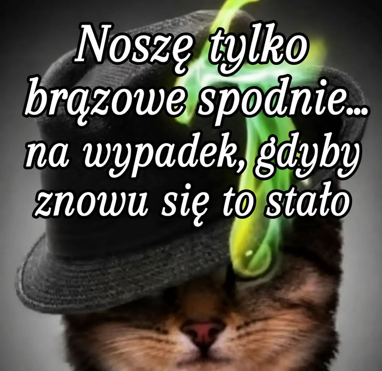 nosze tylko brązoew spodnie
