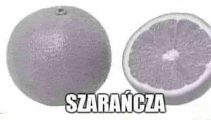 SRAJANUCZA