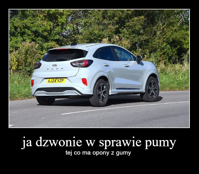Handlarz mnie zwyzywal od razu nie wiem czmu