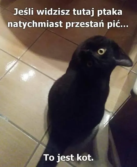 Nie zapomnij zmrużyć oczu.