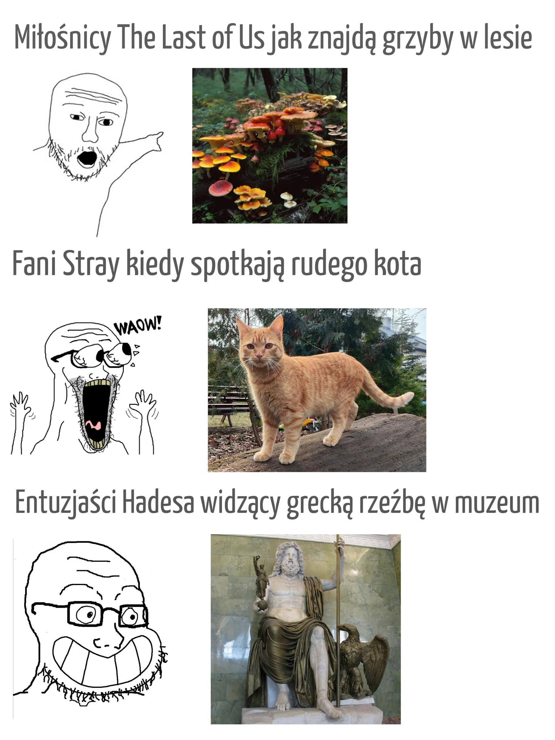 Uwielbiam fandomy na Reddicie