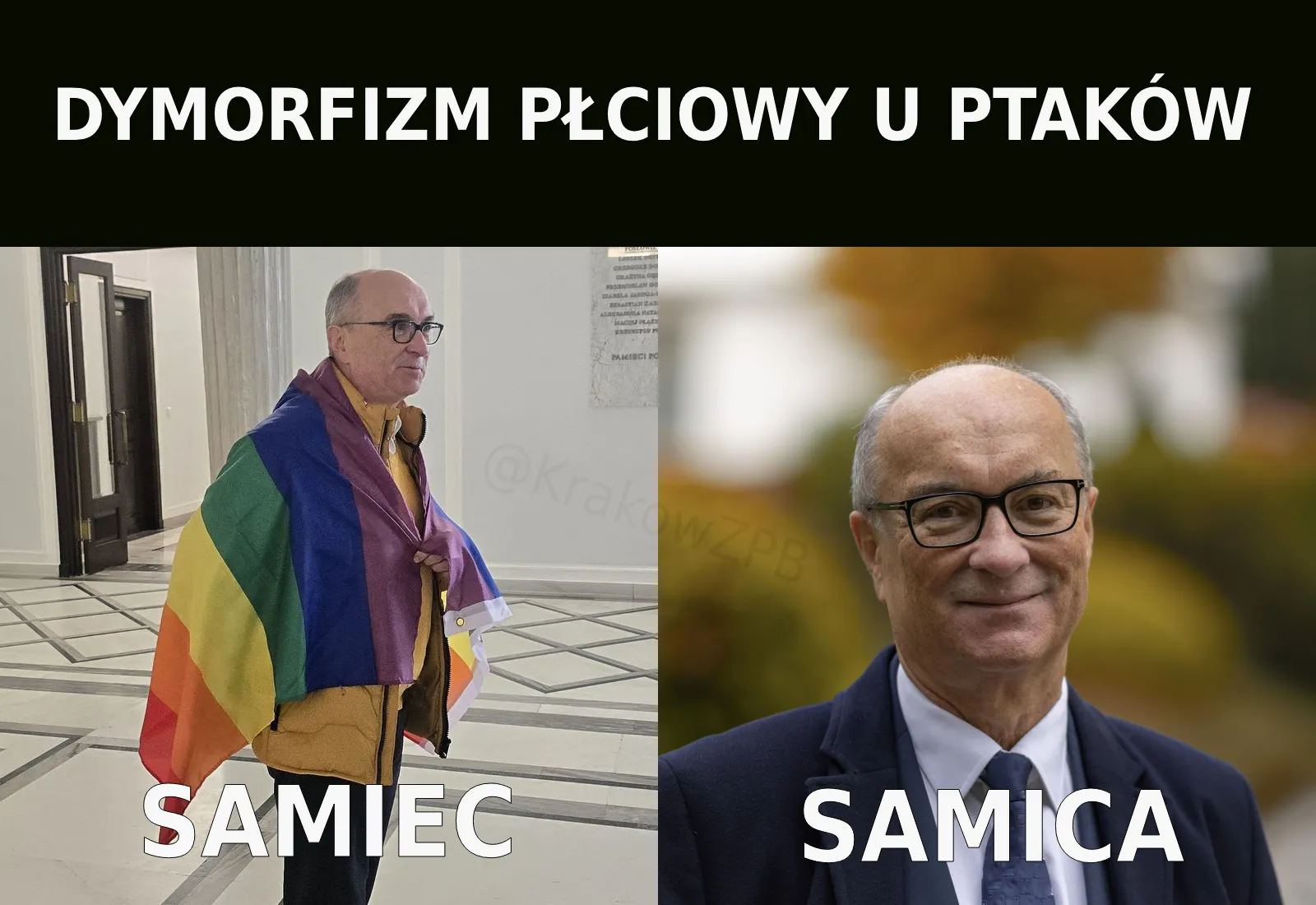 czytała Krystyna Czubówna