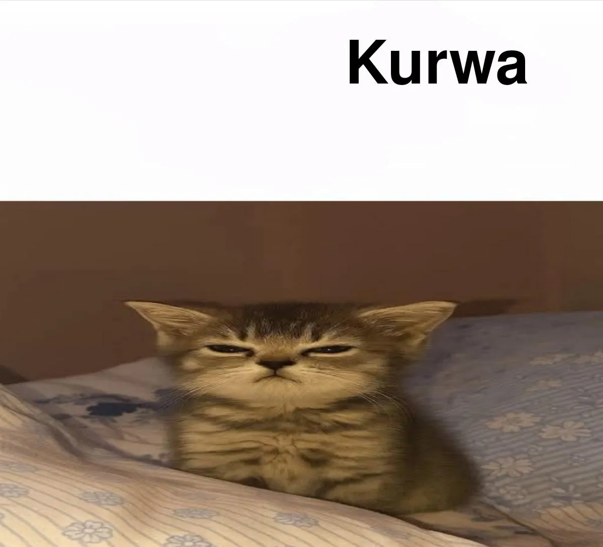 No to mamy Kurwa