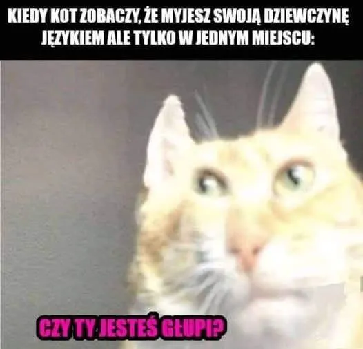 chuj wie co to ta dziewczyna BĘDĄC SZRZCZERYM
