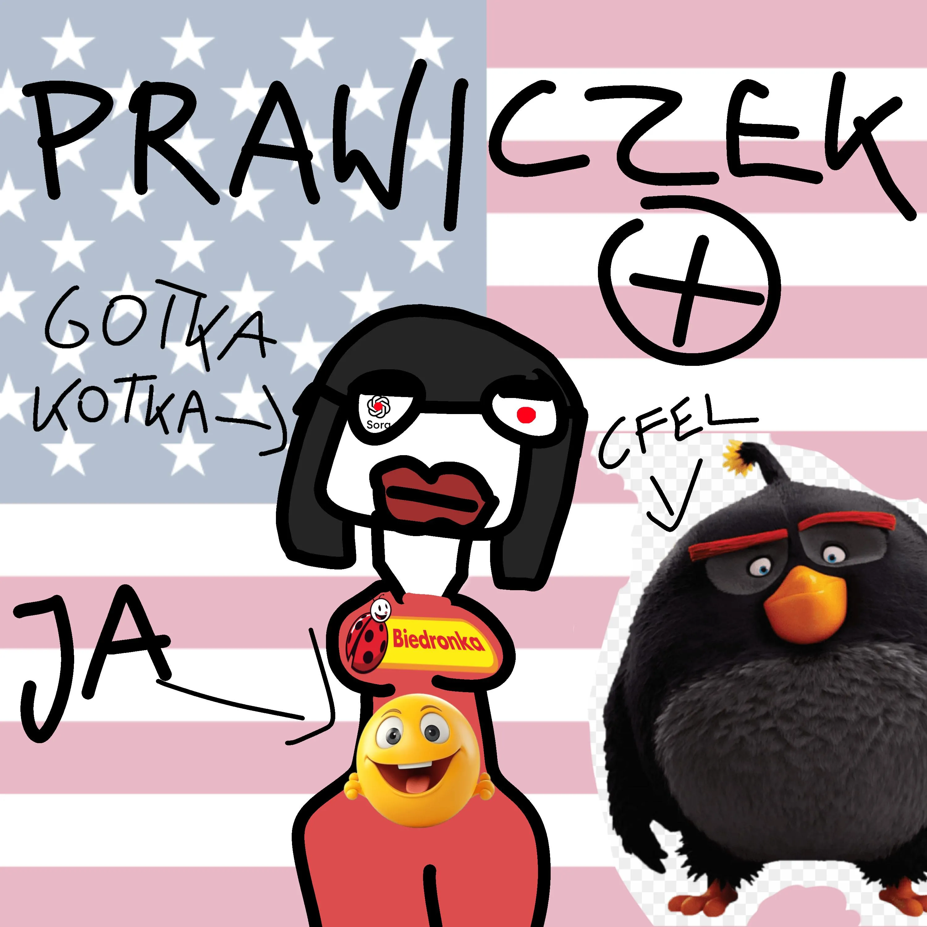 novy proyekt szondovy