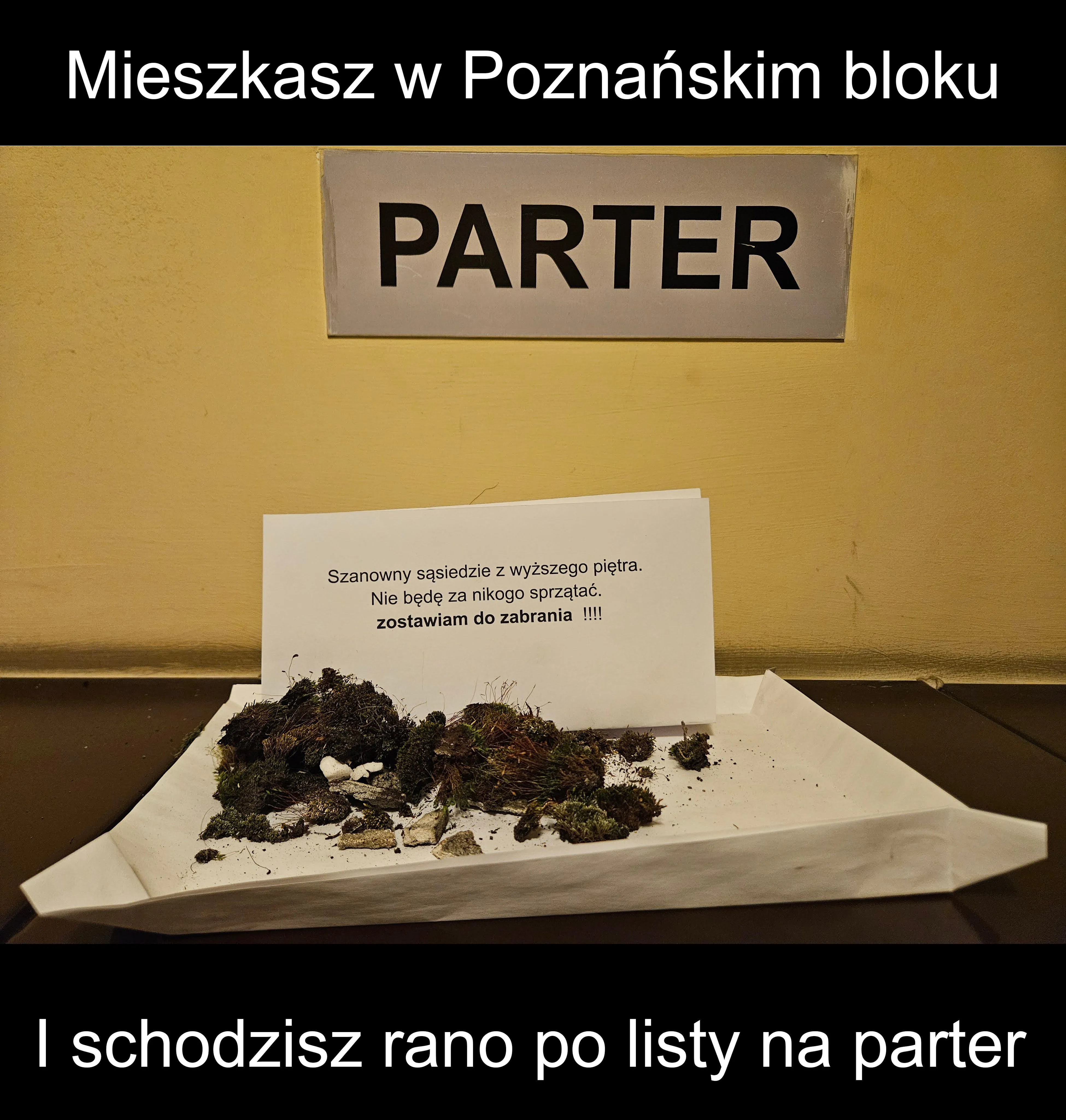 Nowa instalacja artystyczna w moim bloku