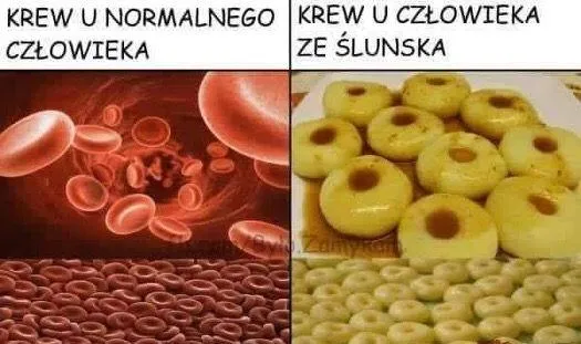 Fajna ta krew u człowieka ze ślunska