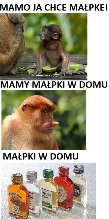 Małpki