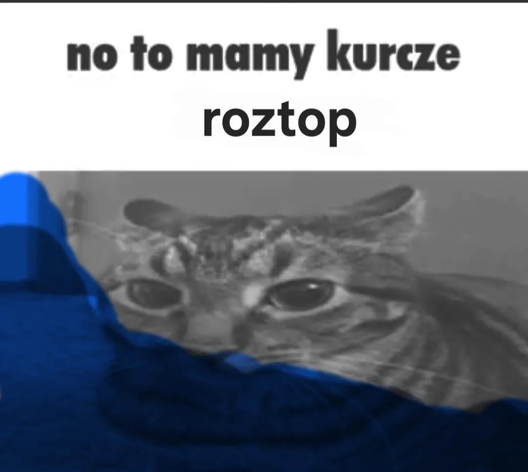 Kolegofie pomocy!!!!11!!!!1!1!1!!!1