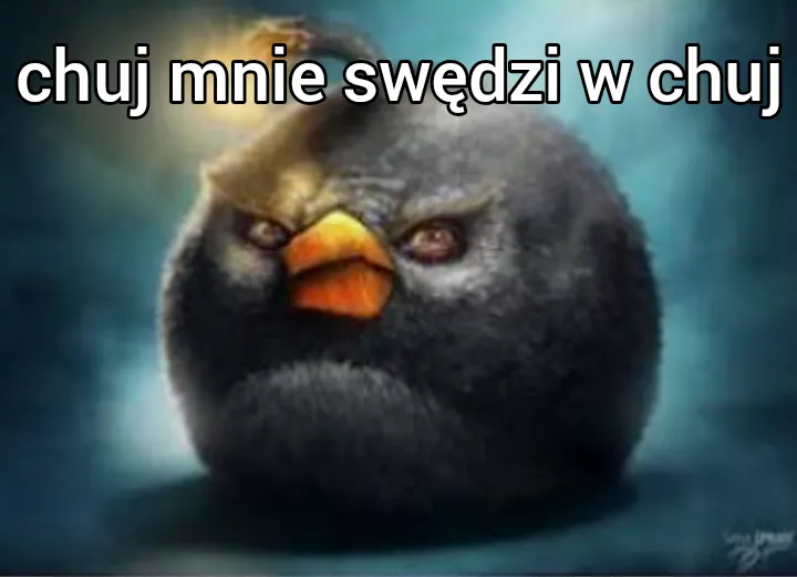 fraszka na swędzące jajca