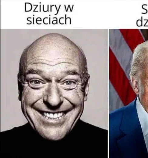 Pomaranszowa Morda