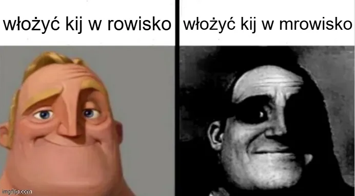 Bądź_y koledz_i