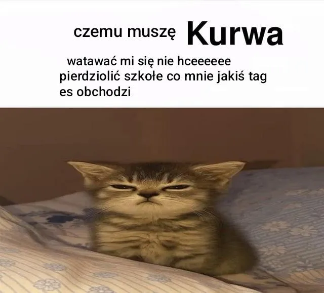 Szkoła👎👎👎sostanie w domu i konia walenie 👍🏿👍🏿👍🏿