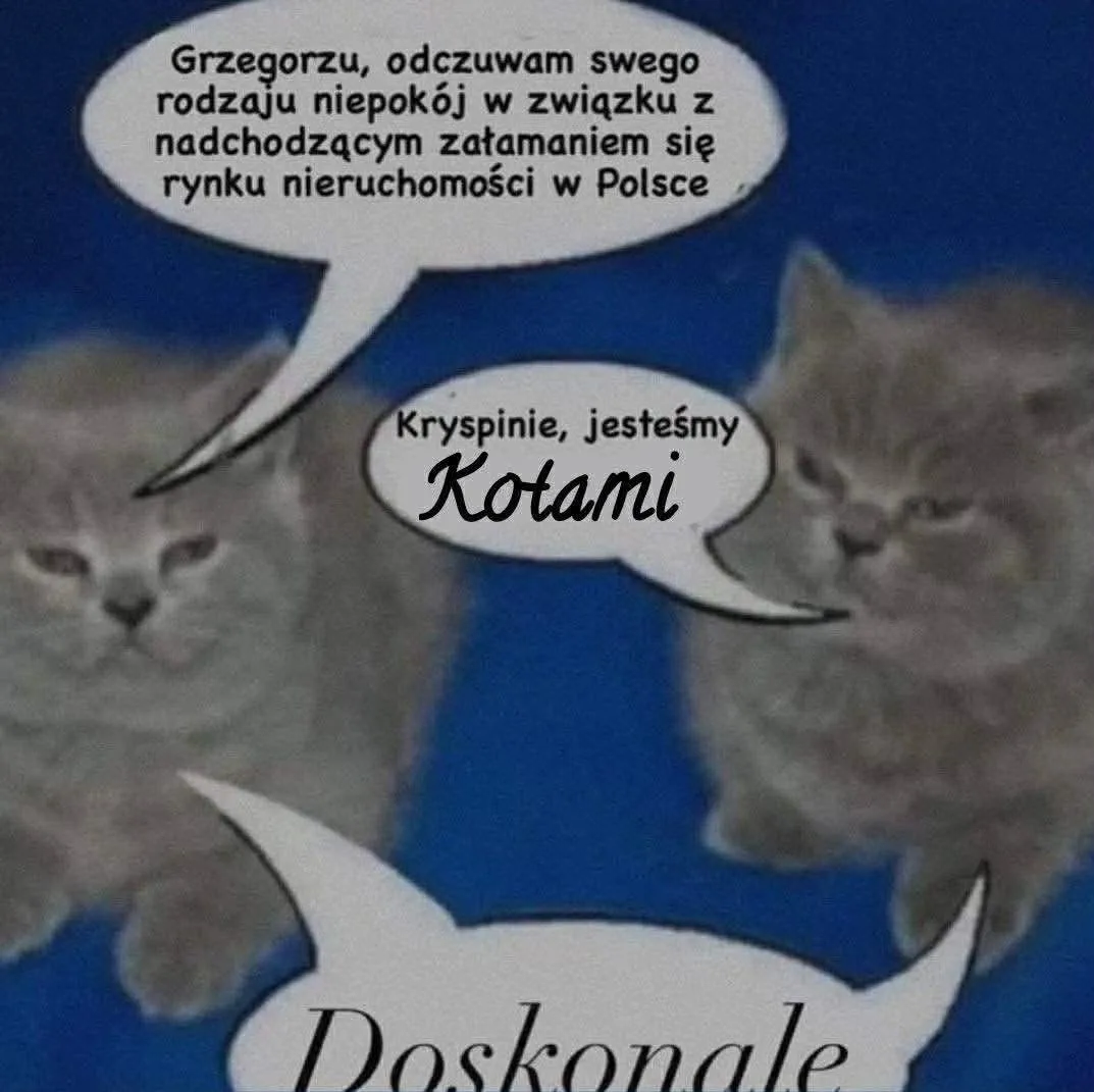 dzien dobry poprosze przyspieszony kurs patodeweloperki