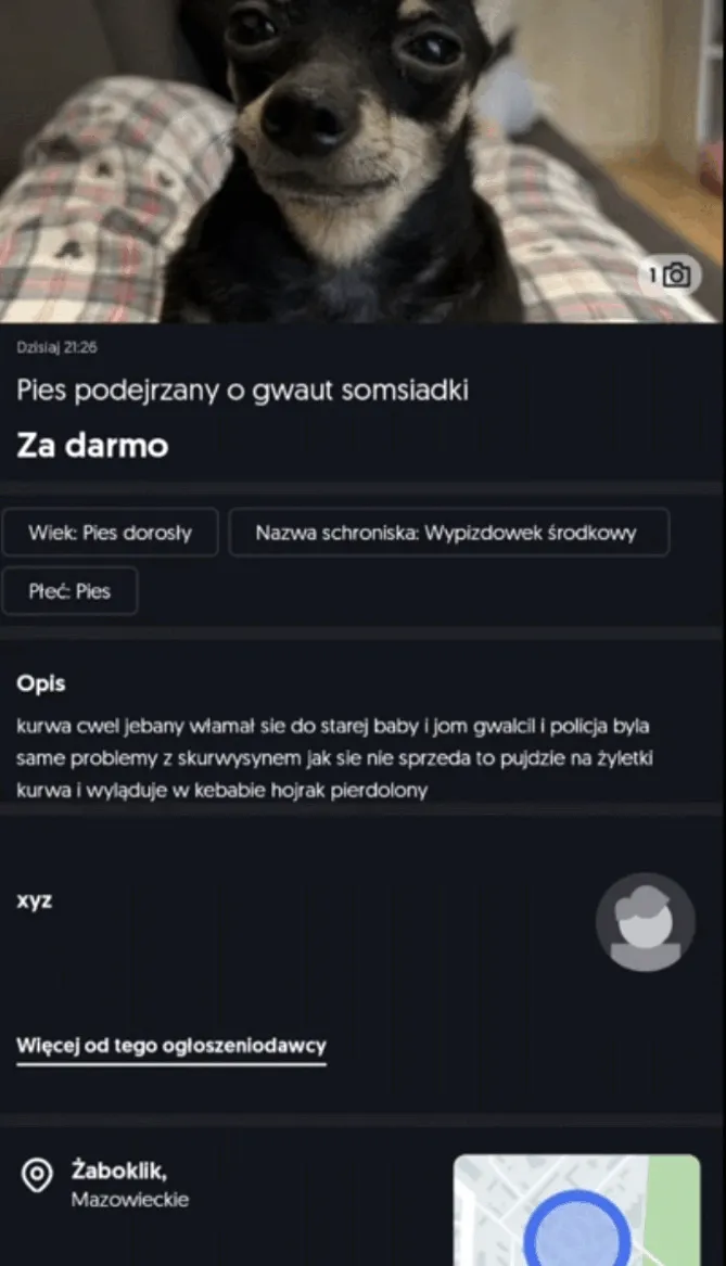 Sprzedam za darmo psa gwauciciela
