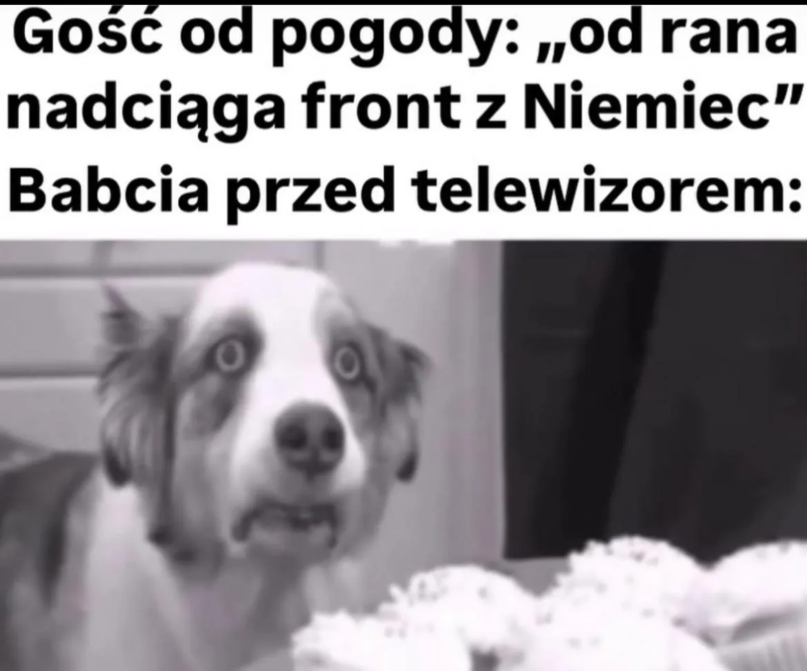 Oh shit
