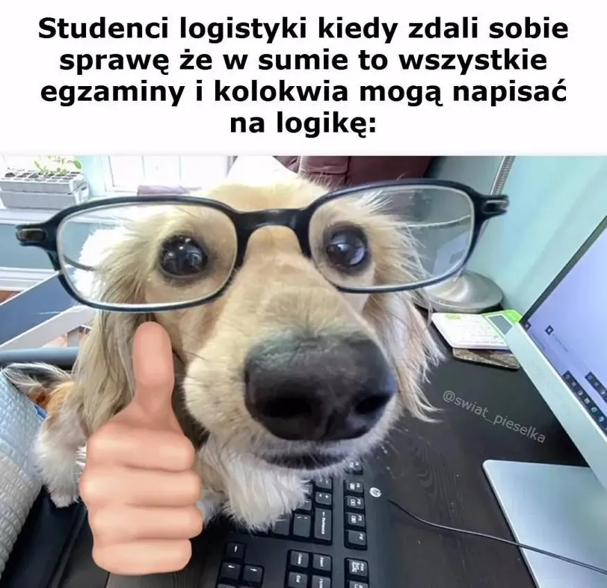 studenci kurde logistyczni