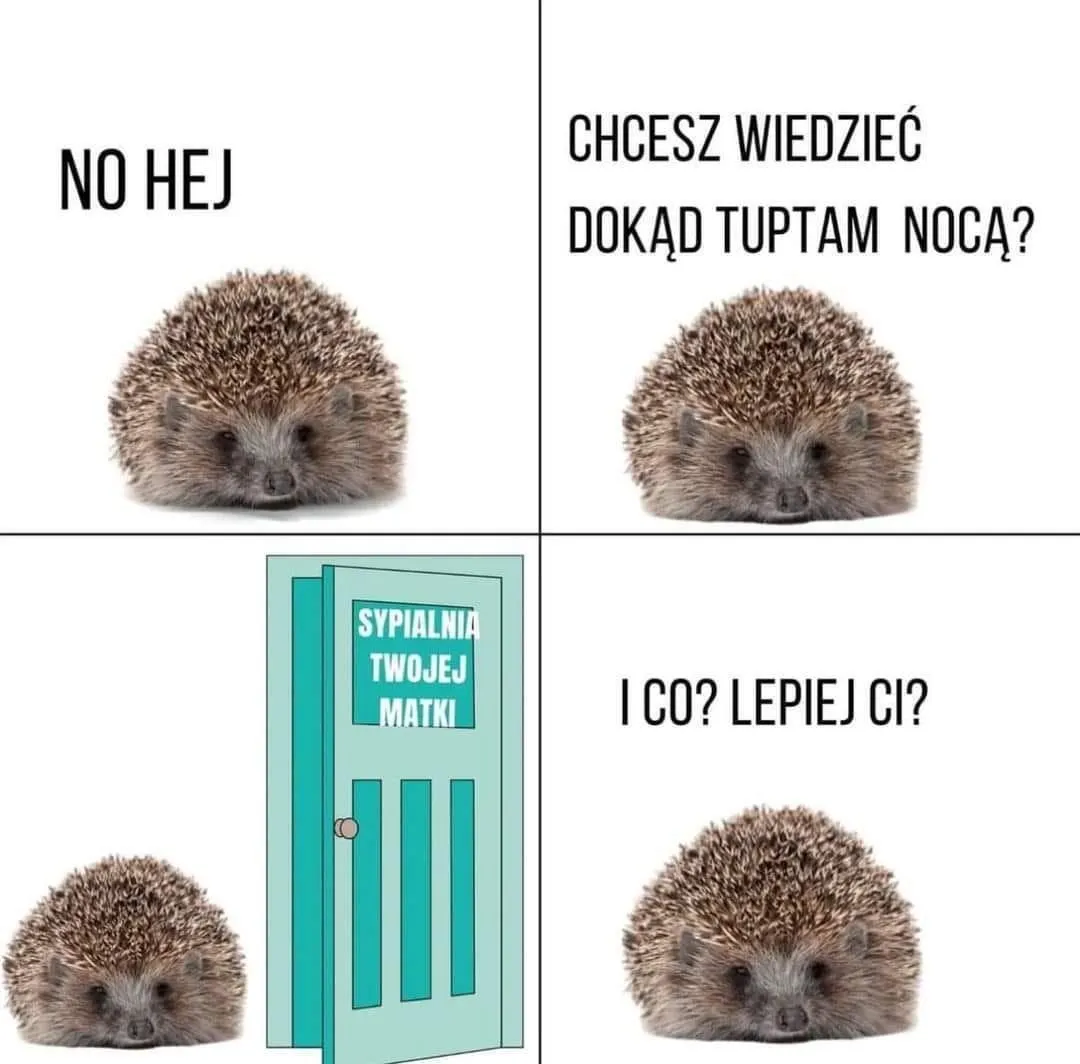 No i się zagadka wyjaśniła