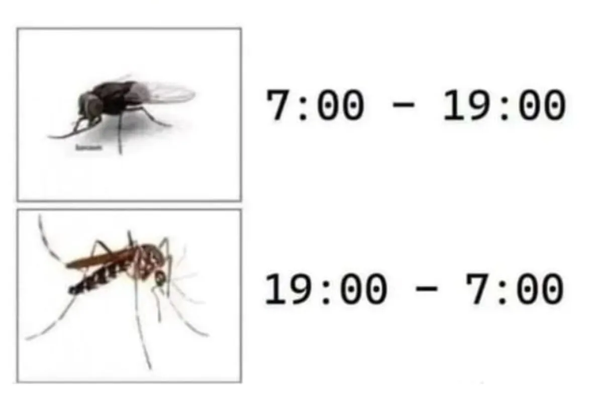 📅 Harmonogram dyżurów na najbliższe miesiące