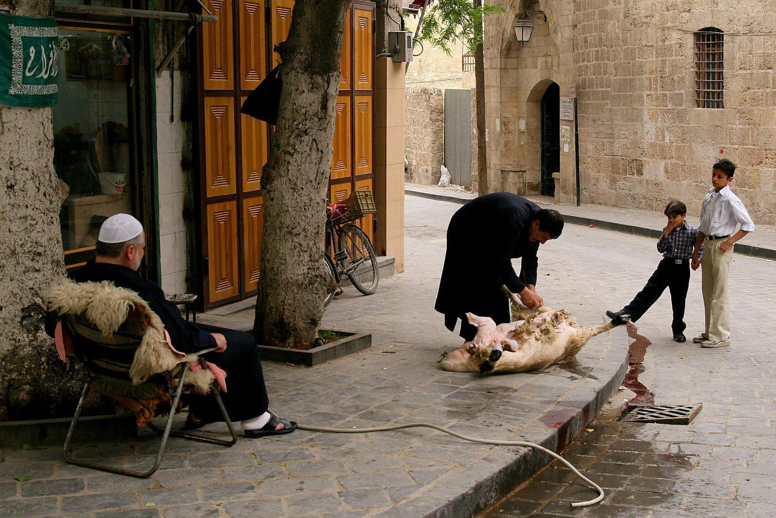 Syria 2008