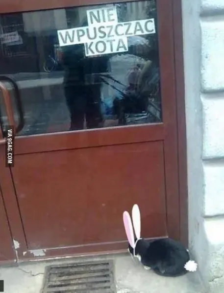 już pare dni po wielkiejnocy ale dalej nie chco go wspuscic