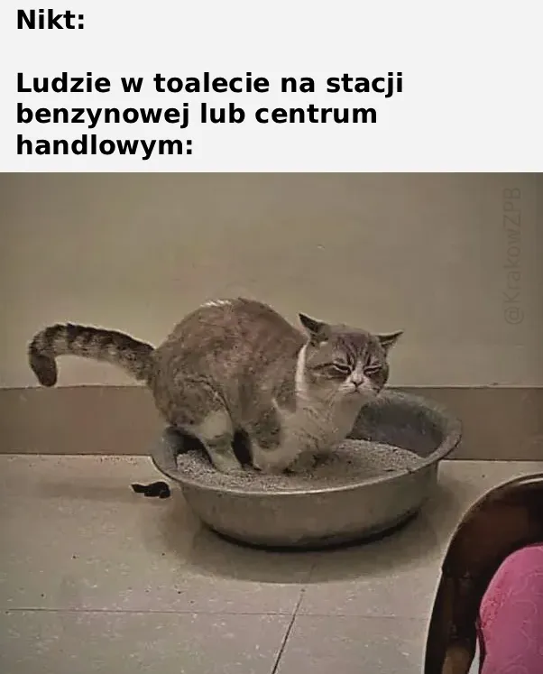 U siebie sraj jak u siebie, a u obcego na odpierdol