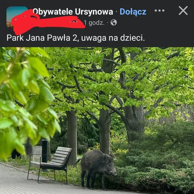 życie pisze cenzopapy