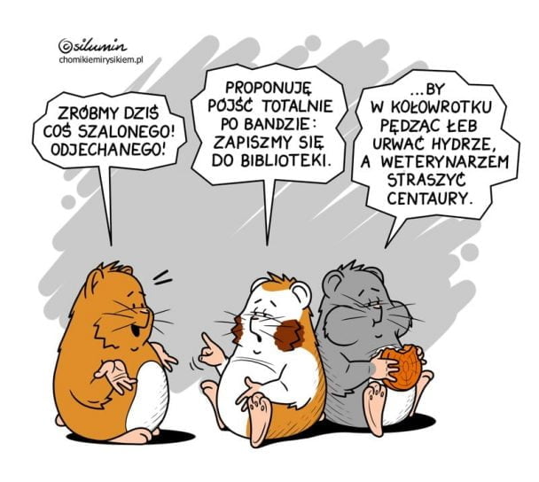 Szaleństwo 126553062 4216028108425161 8488991200616410669 n