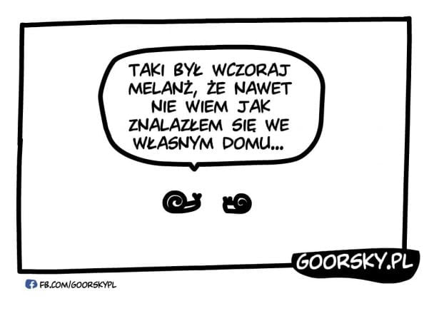 Po weekendzie 216603183 383816593098098 1407453467581021646 n