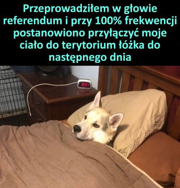 Referendum Referendum