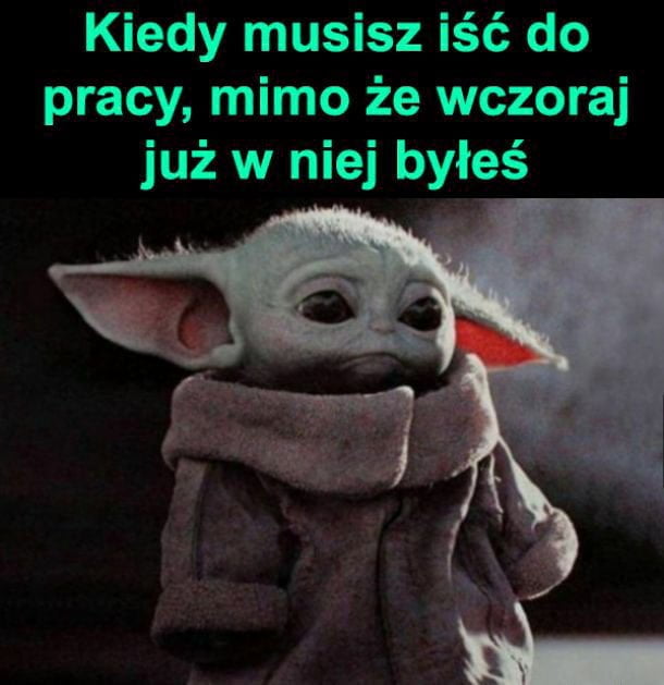 No jak to tak No jak to tak