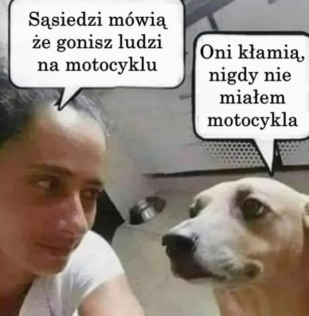 Memy, śmieszne obrazki, zabawne zdjęcia - współczesna forma przekazu w erze Internetu 1bCLMeuiSc2rG6DP