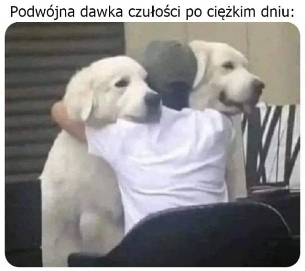 Śmiech – Cudowna Siła Meme i Śmiesznych Obrazków 4105975