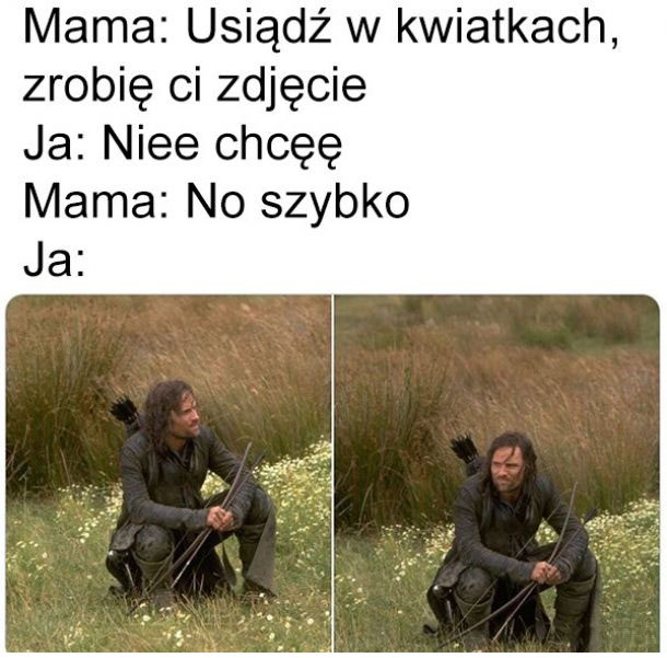 Nie dyskutuj gowniarzu