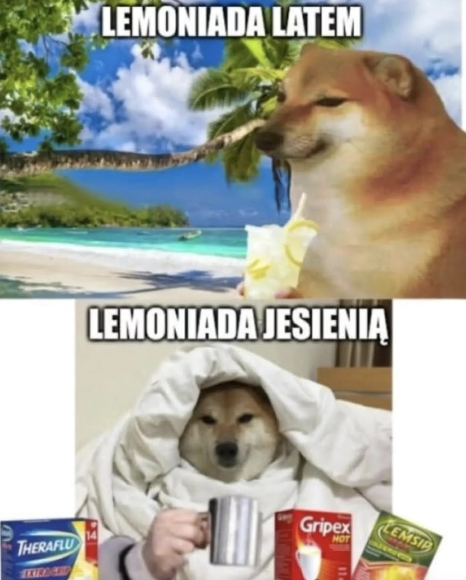 Ja tam piję tylko ziółka (Jagermeister)