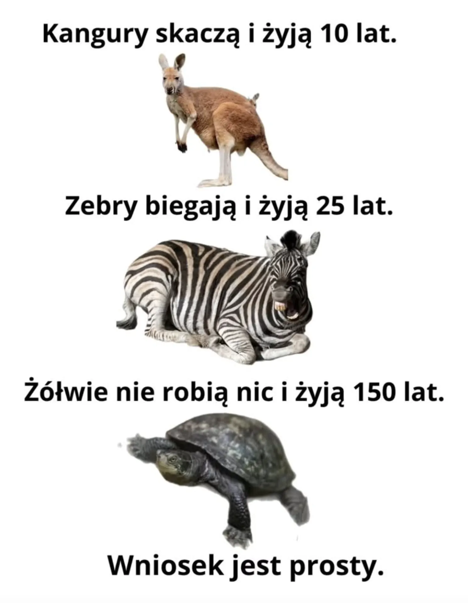 wniosek jest prosty 🤔